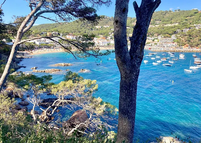1aur04 Calella De Palafrugell