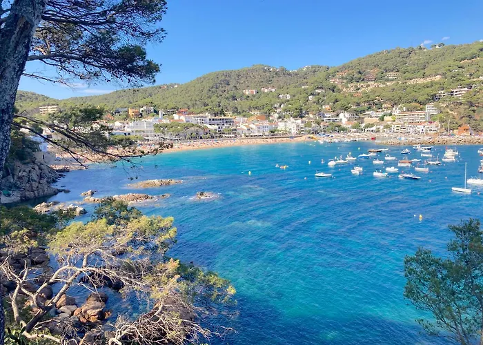 1aur04 Calella De Palafrugell