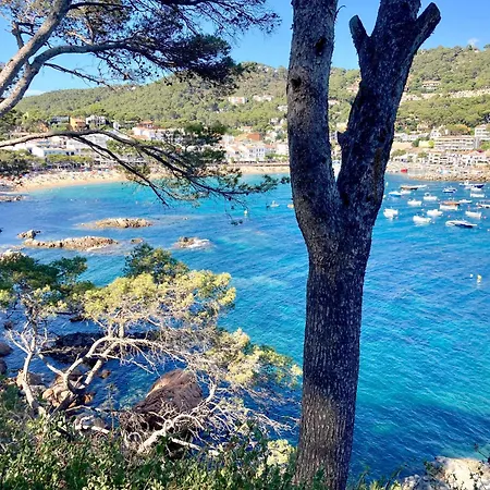 1aur04 Calella De Palafrugell